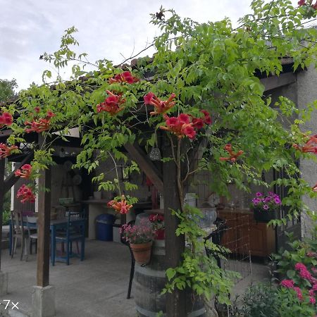 Bed and Breakfast Le Coq En Pate Ромийи-сюр-Сен Экстерьер фото
